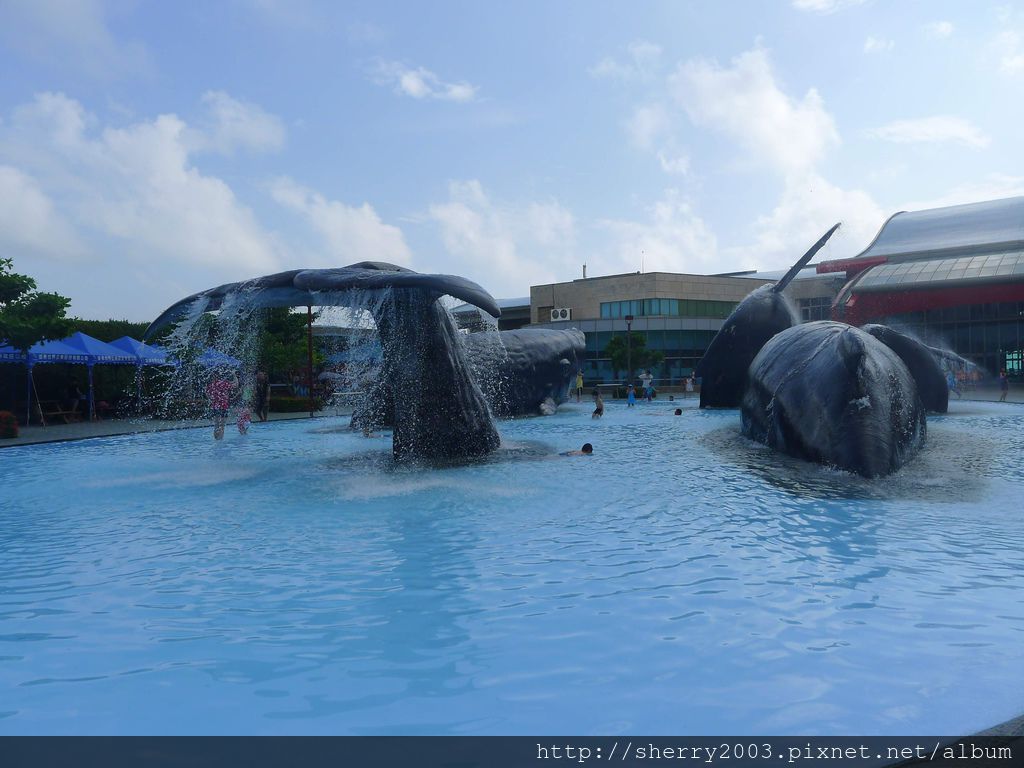 P1060363.JPG P1060363.JPG