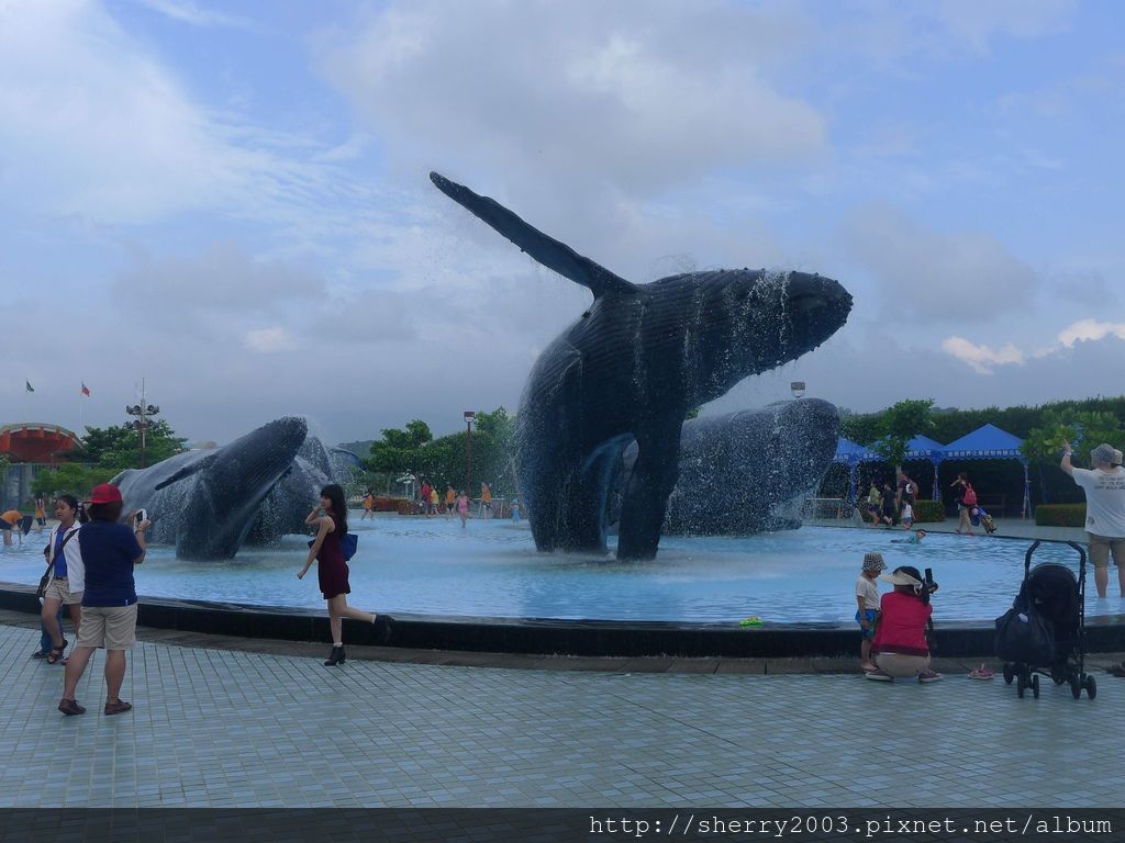 P1060368.JPG P1060368.JPG