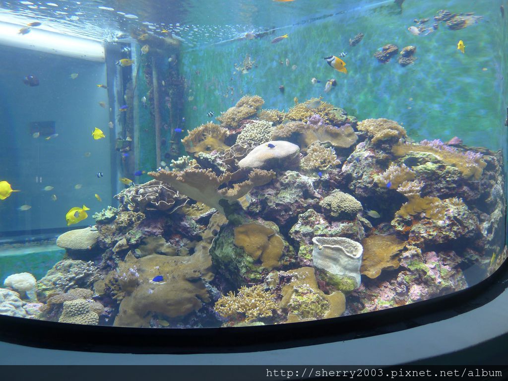 P1060370.JPG P1060370.JPG