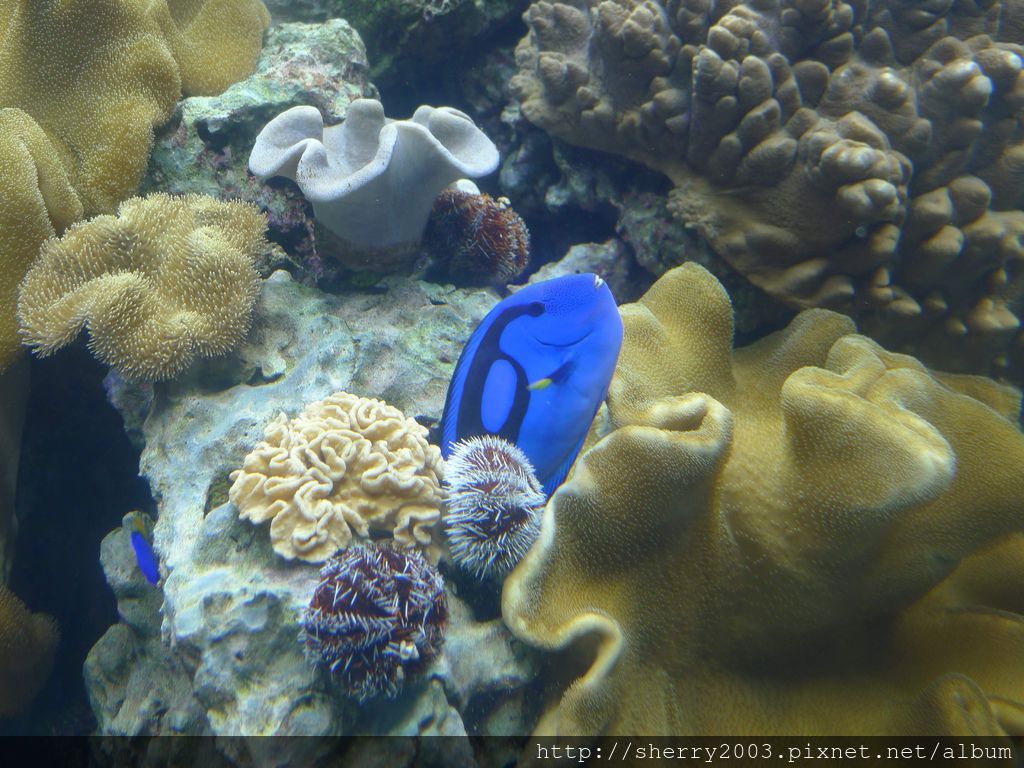 P1060371.JPG P1060371.JPG