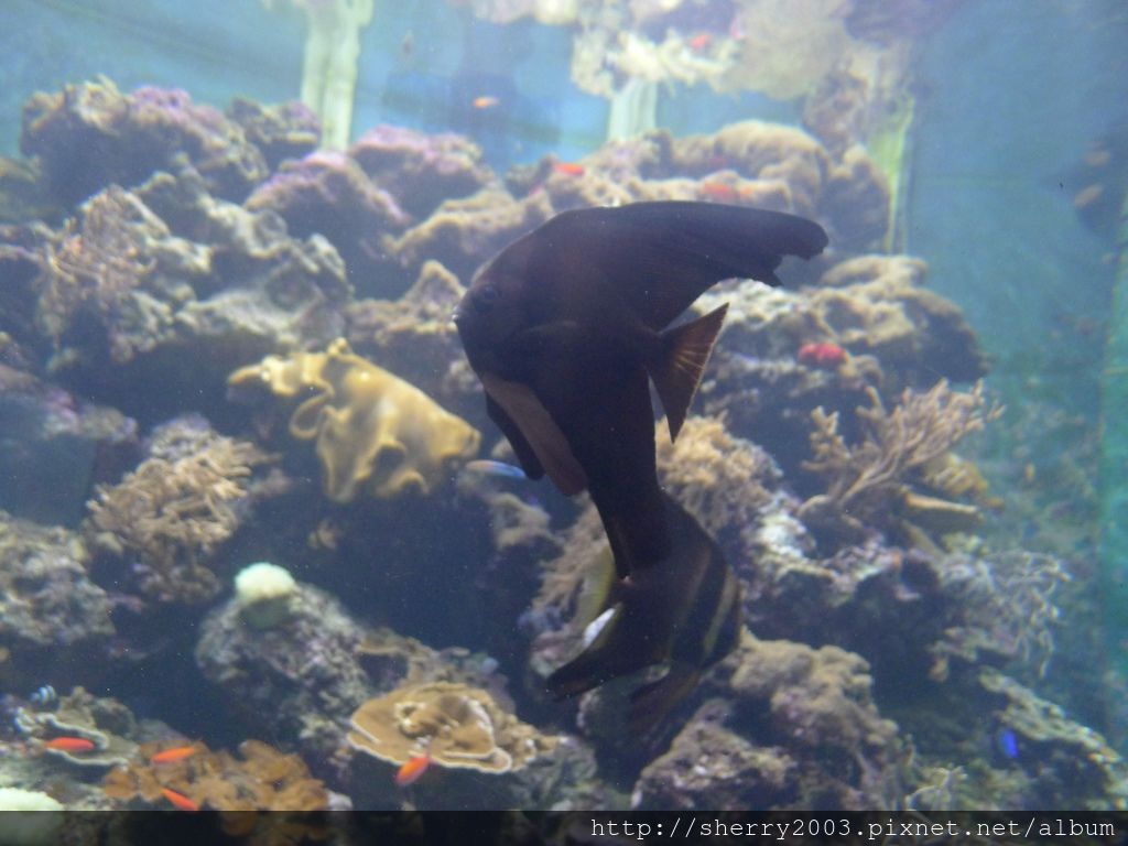 P1060374.JPG P1060374.JPG