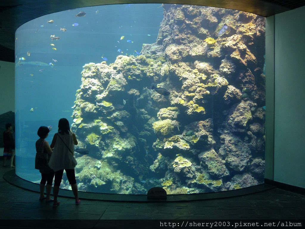 P1060375.JPG P1060375.JPG