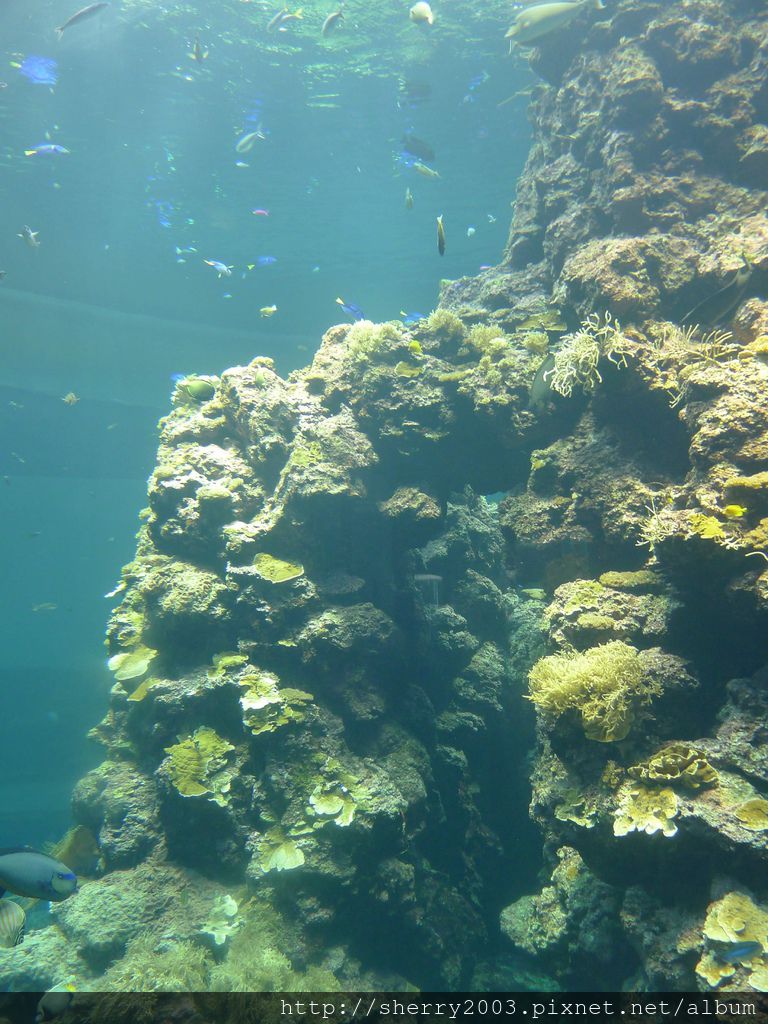 P1060377.JPG P1060377.JPG