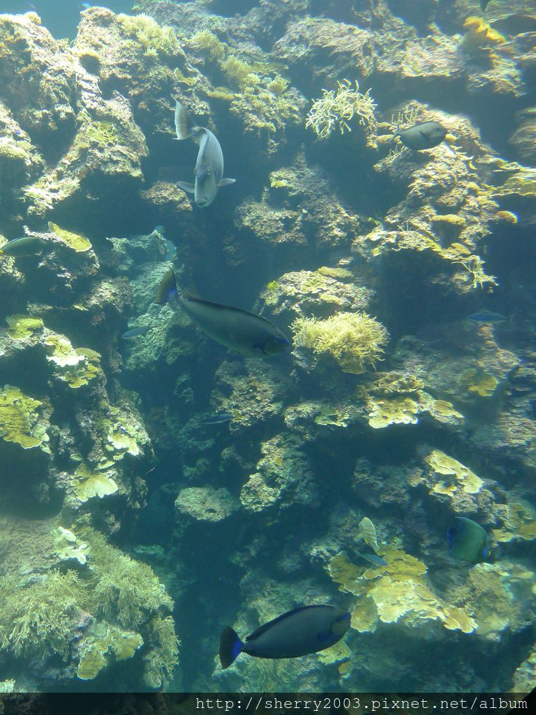 P1060379.JPG P1060379.JPG