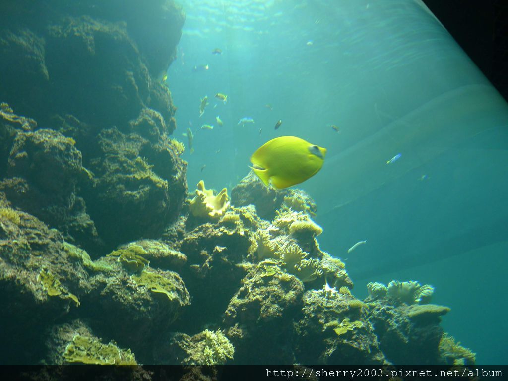 P1060381.JPG P1060381.JPG