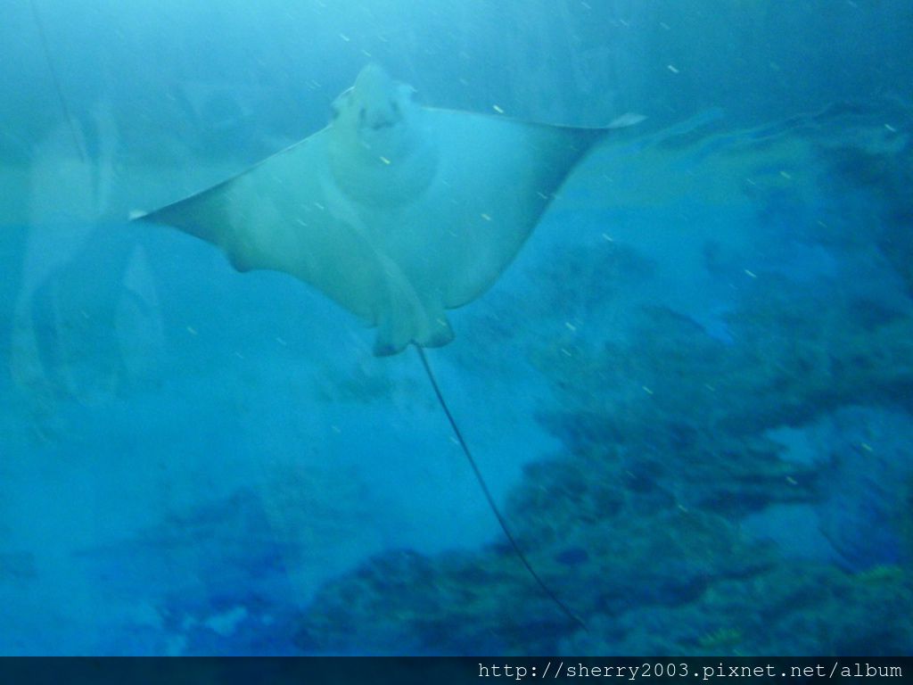 P1060383.JPG P1060383.JPG