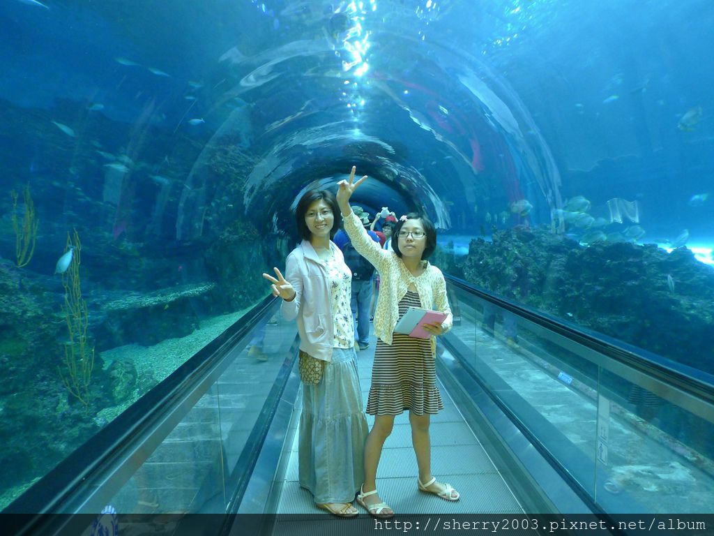 P1060384.JPG P1060384.JPG