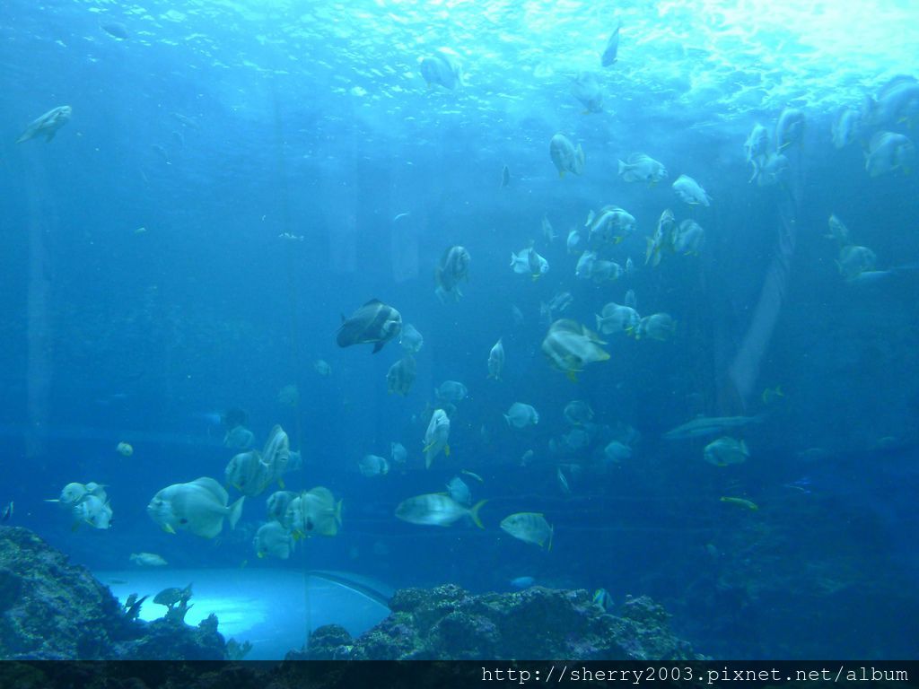 P1060388.JPG P1060388.JPG