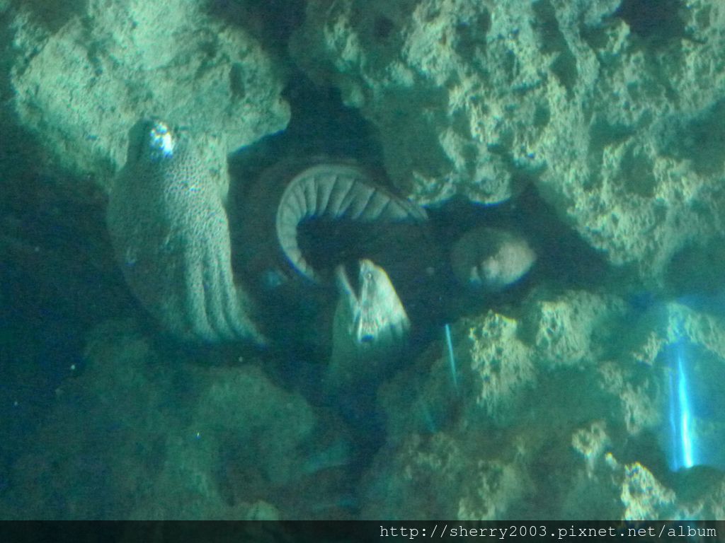 P1060391.JPG P1060391.JPG