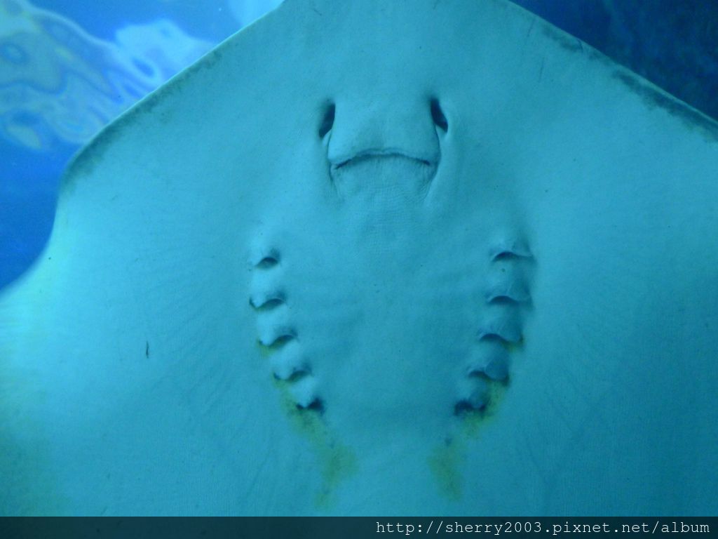 P1060392.JPG P1060392.JPG