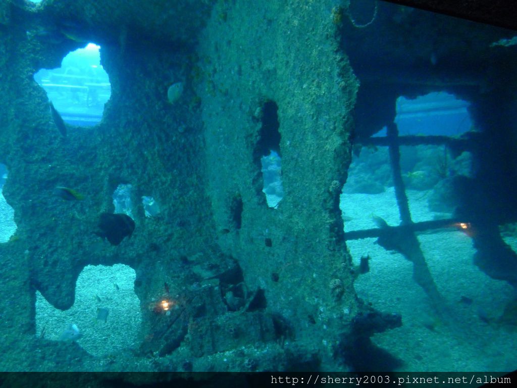 P1060394.JPG P1060394.JPG