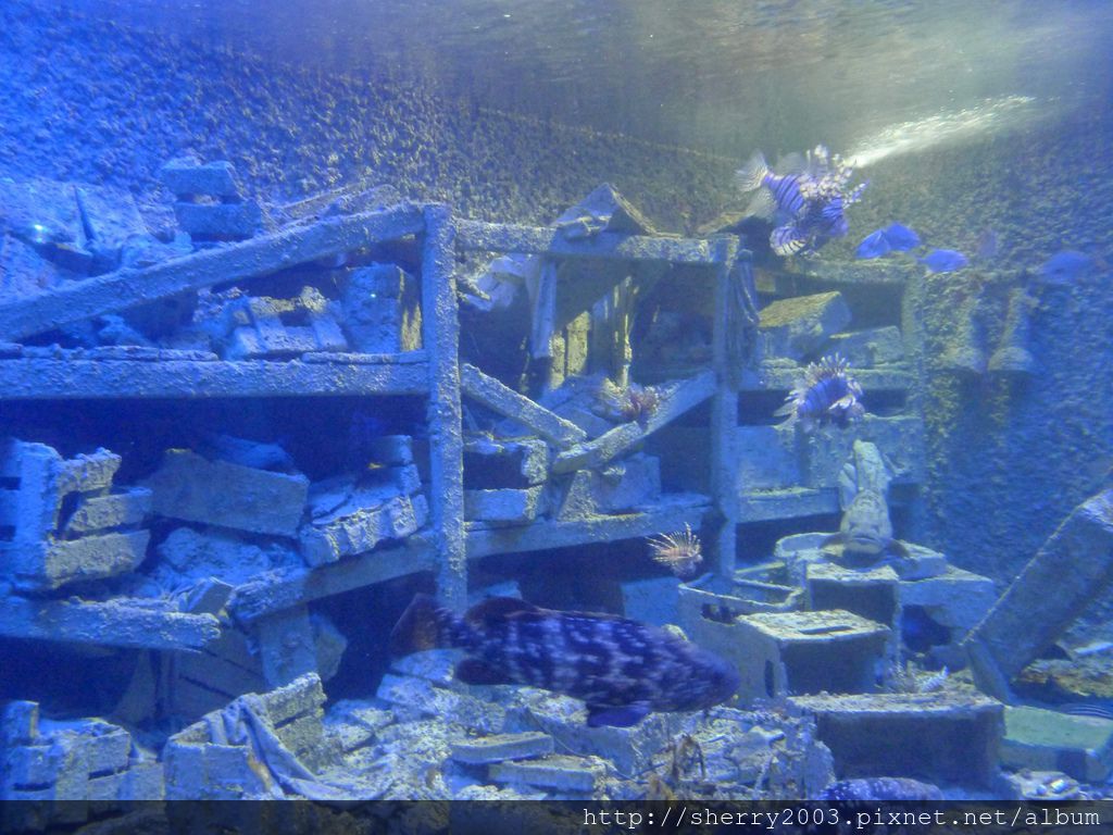 P1060398.JPG P1060398.JPG