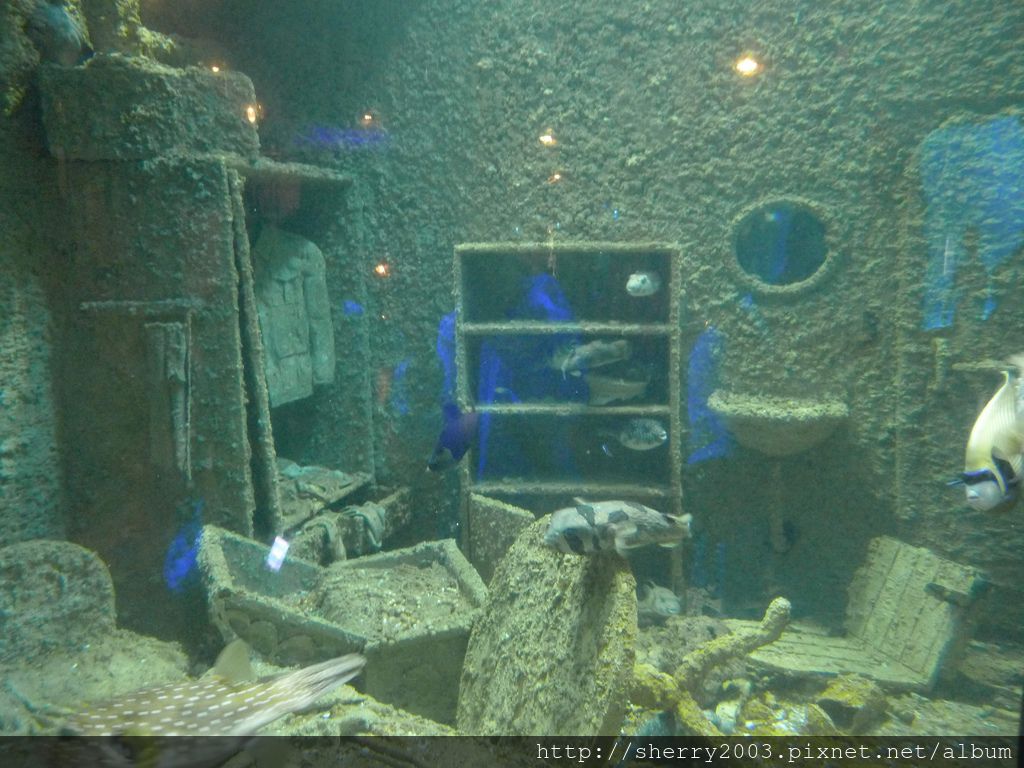 P1060400.JPG P1060400.JPG