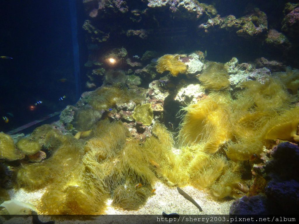 P1060403.JPG P1060403.JPG