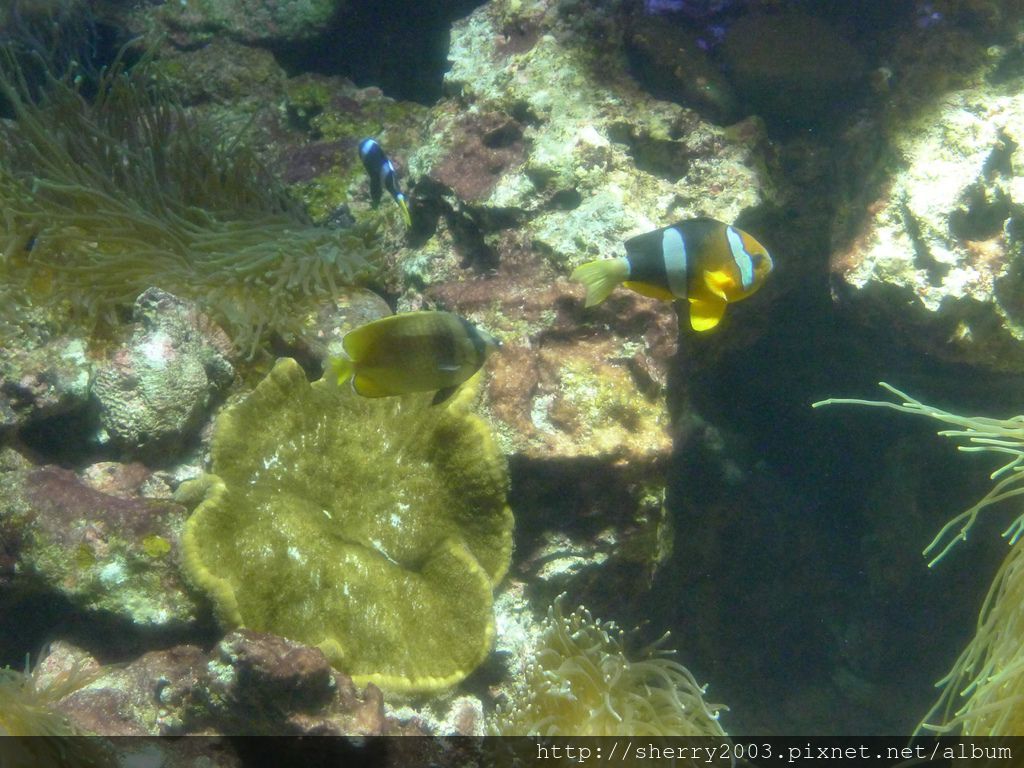 P1060405.JPG P1060405.JPG