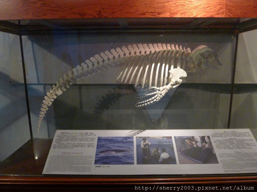 P1060406.JPG P1060406.JPG