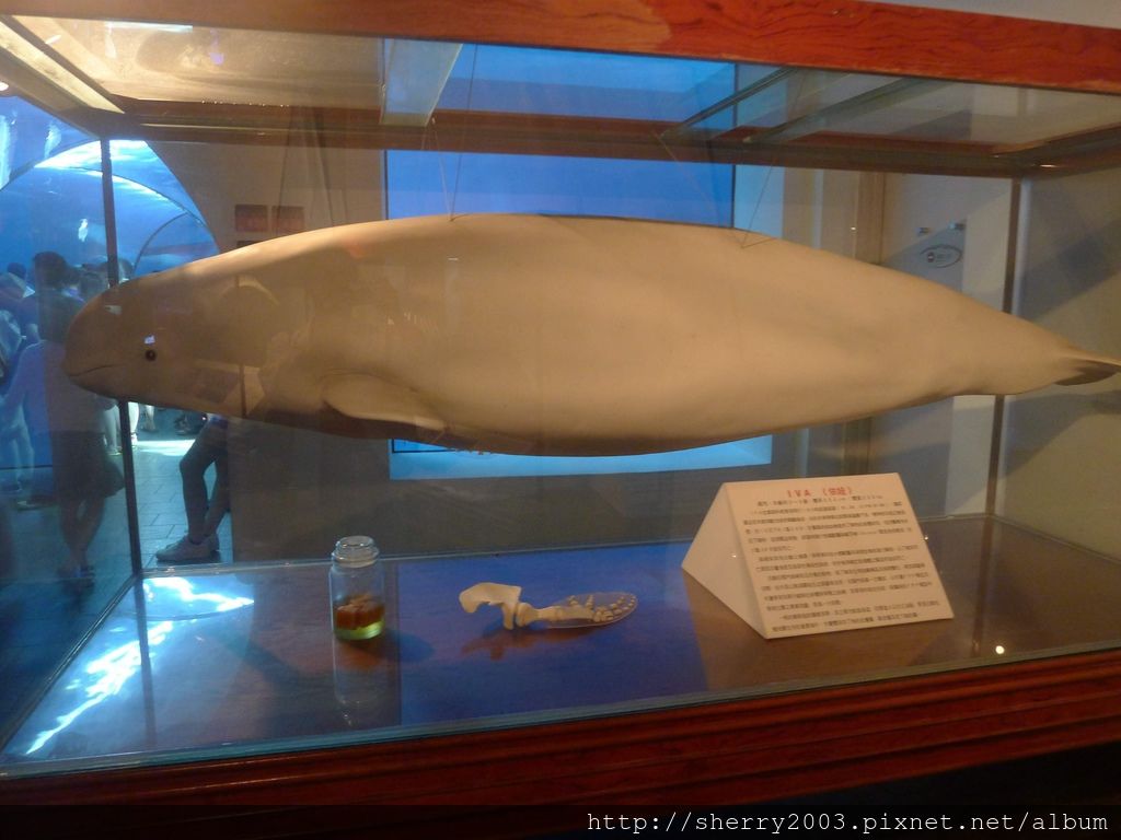 P1060407.JPG P1060407.JPG