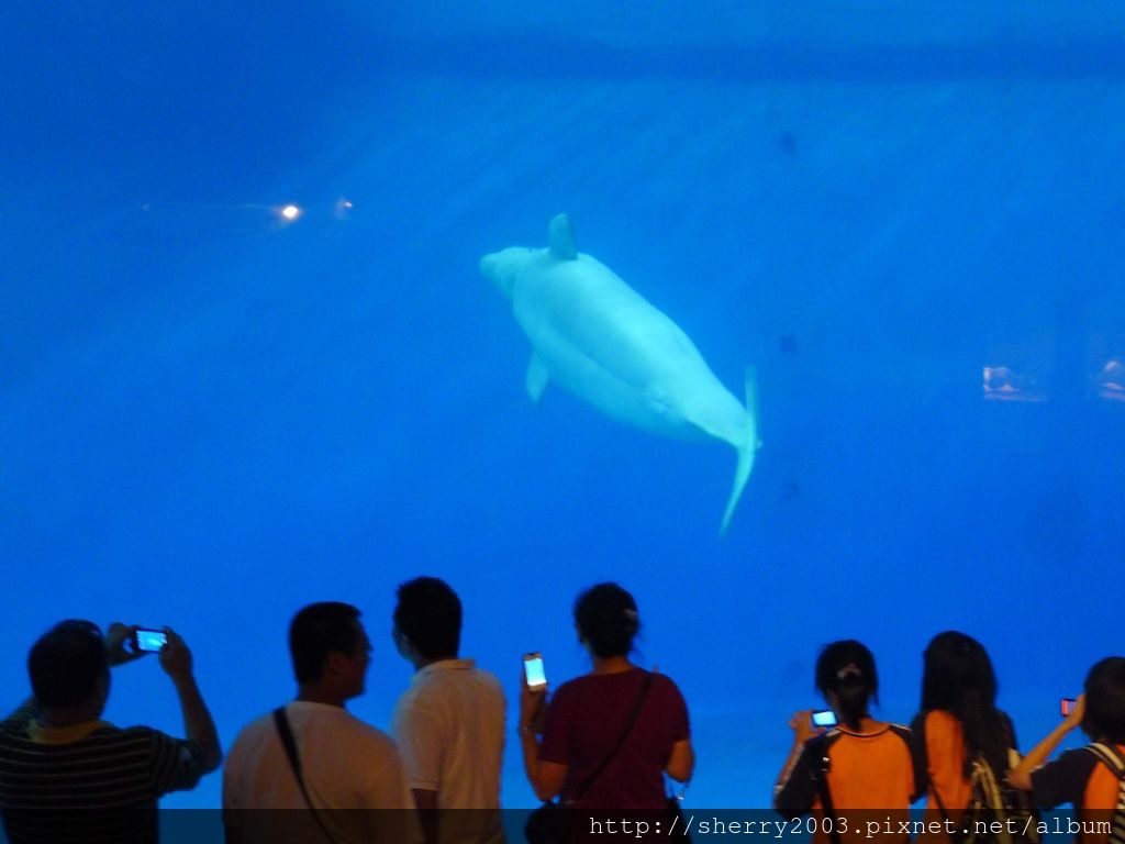 P1060409.JPG P1060409.JPG