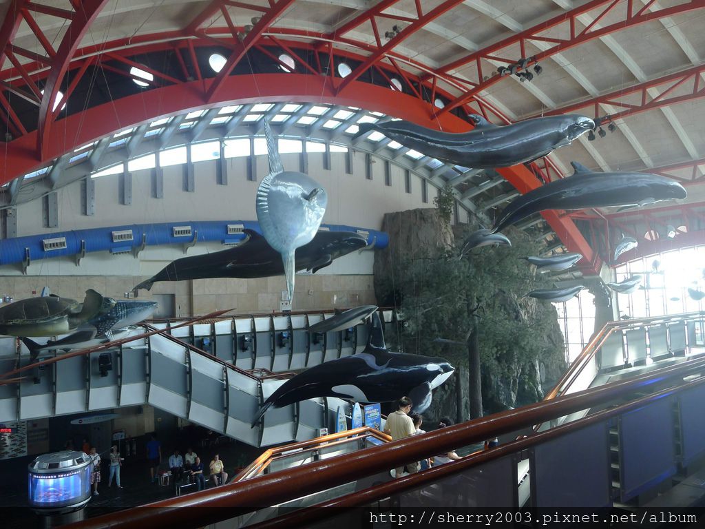 P1060412.JPG P1060412.JPG