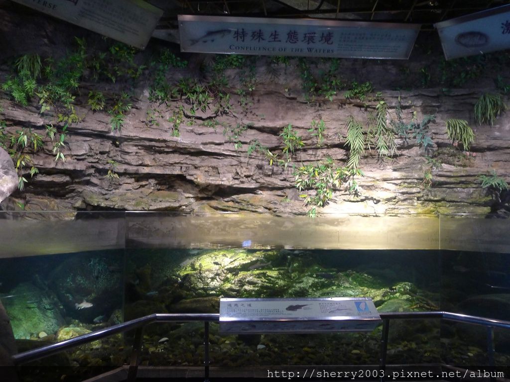 P1060415.JPG P1060415.JPG