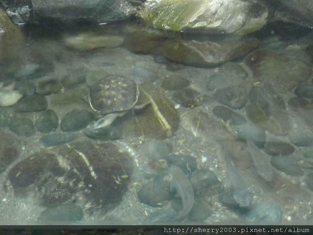 P1060416.JPG P1060416.JPG