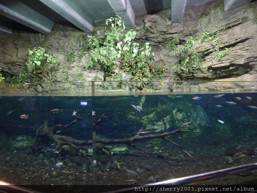 P1060418.JPG P1060418.JPG