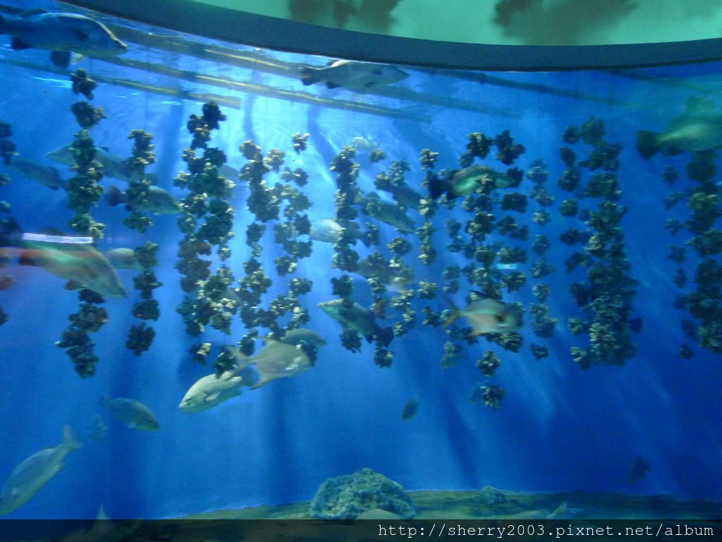 P1060419.JPG P1060419.JPG