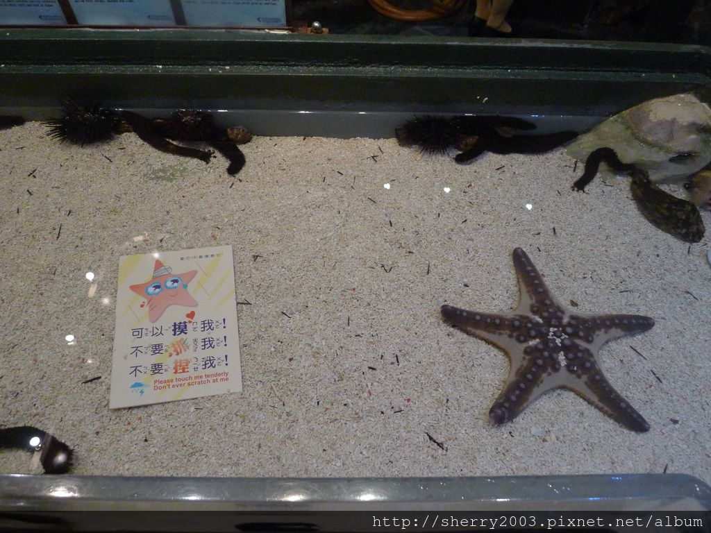 P1060420.JPG P1060420.JPG