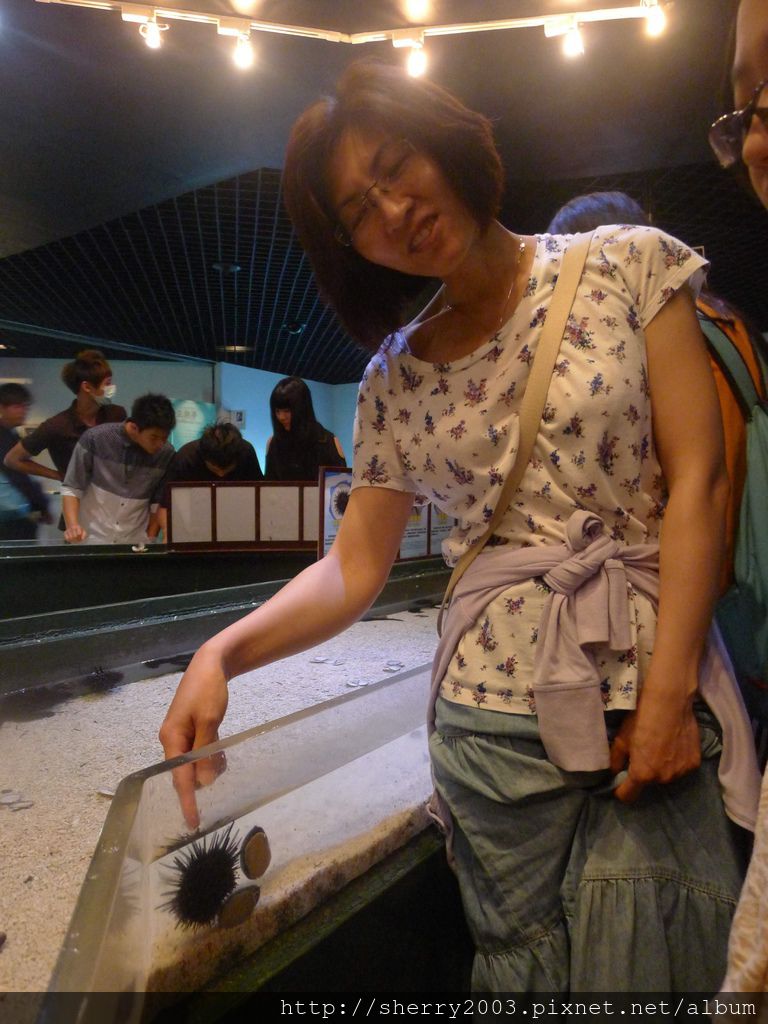 P1060421.JPG P1060421.JPG