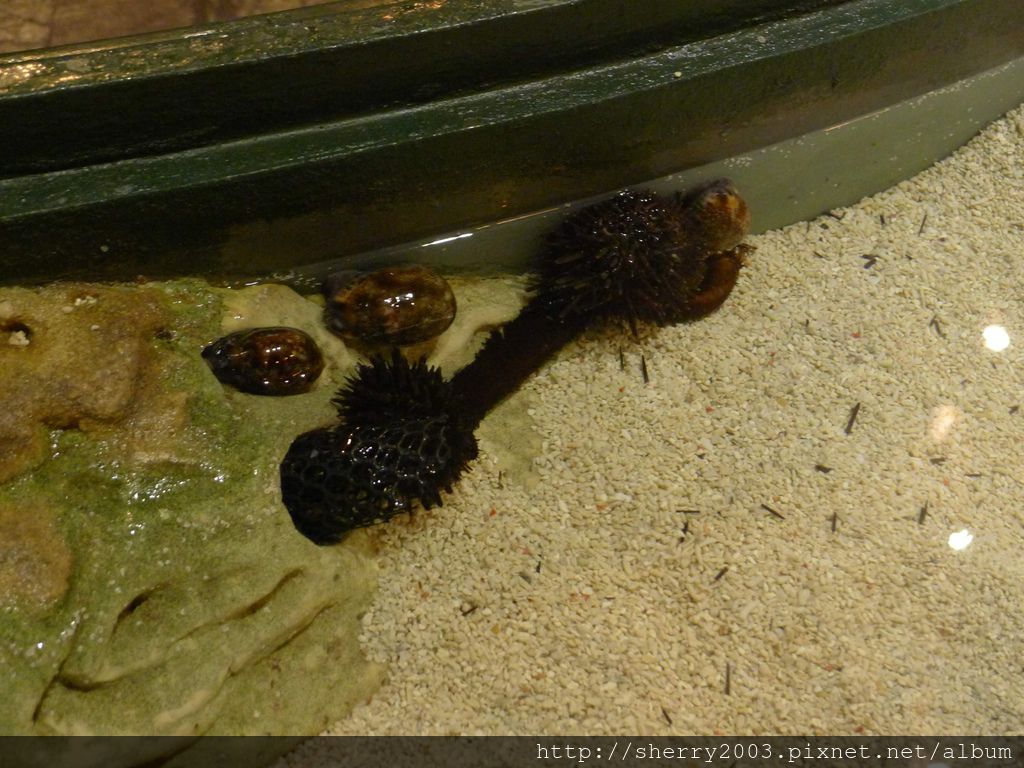 P1060424.JPG P1060424.JPG