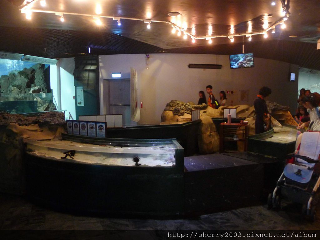 P1060425.JPG P1060425.JPG