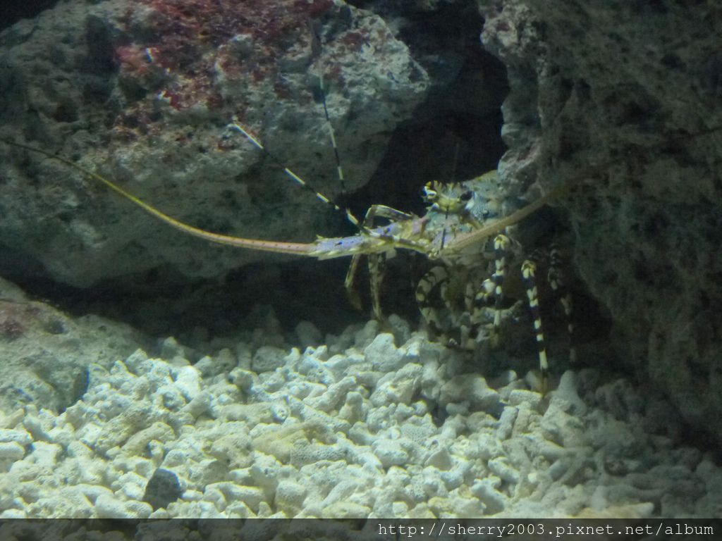 P1060426.JPG P1060426.JPG