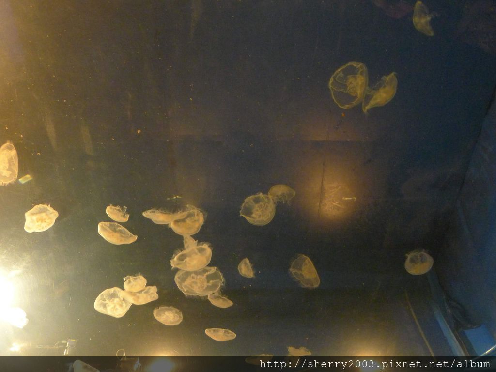 P1060433.JPG P1060433.JPG