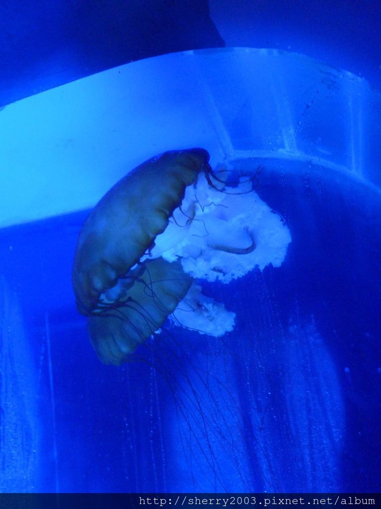 P1060434.JPG P1060434.JPG