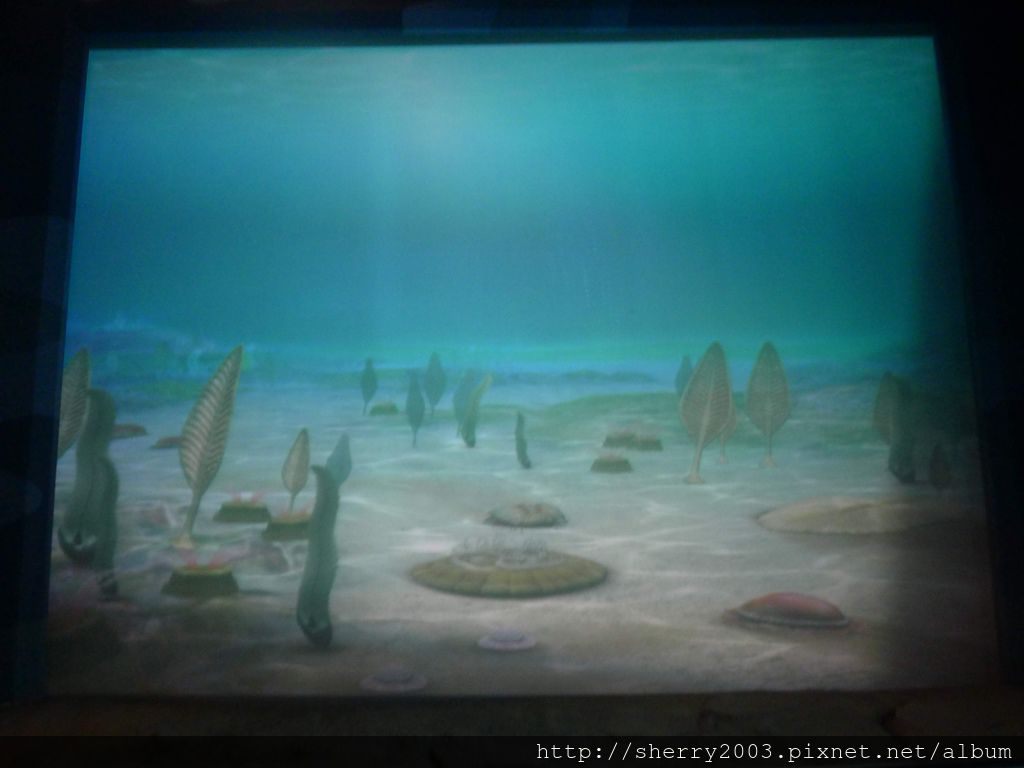 P1060436.JPG P1060436.JPG