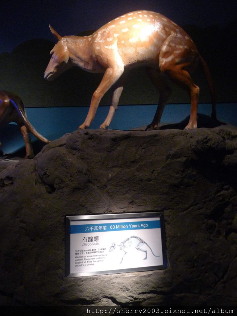 P1060439.JPG P1060439.JPG