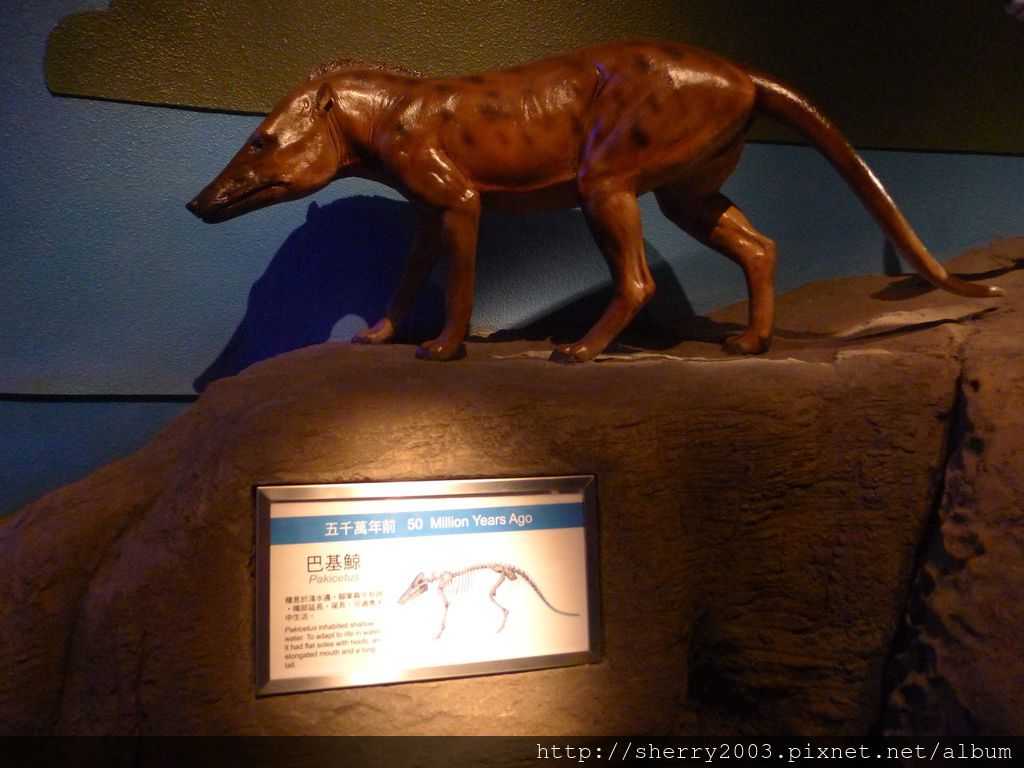 P1060440.JPG P1060440.JPG