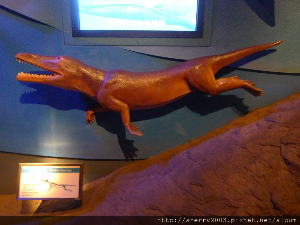 P1060441.JPG P1060441.JPG