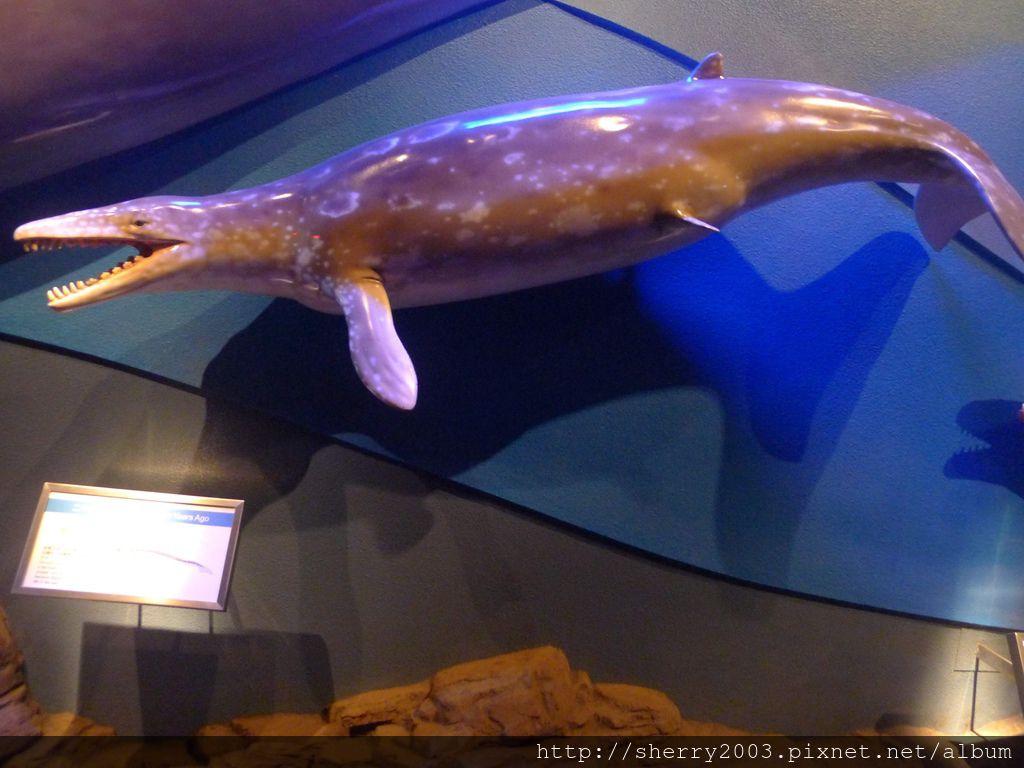 P1060442.JPG P1060442.JPG