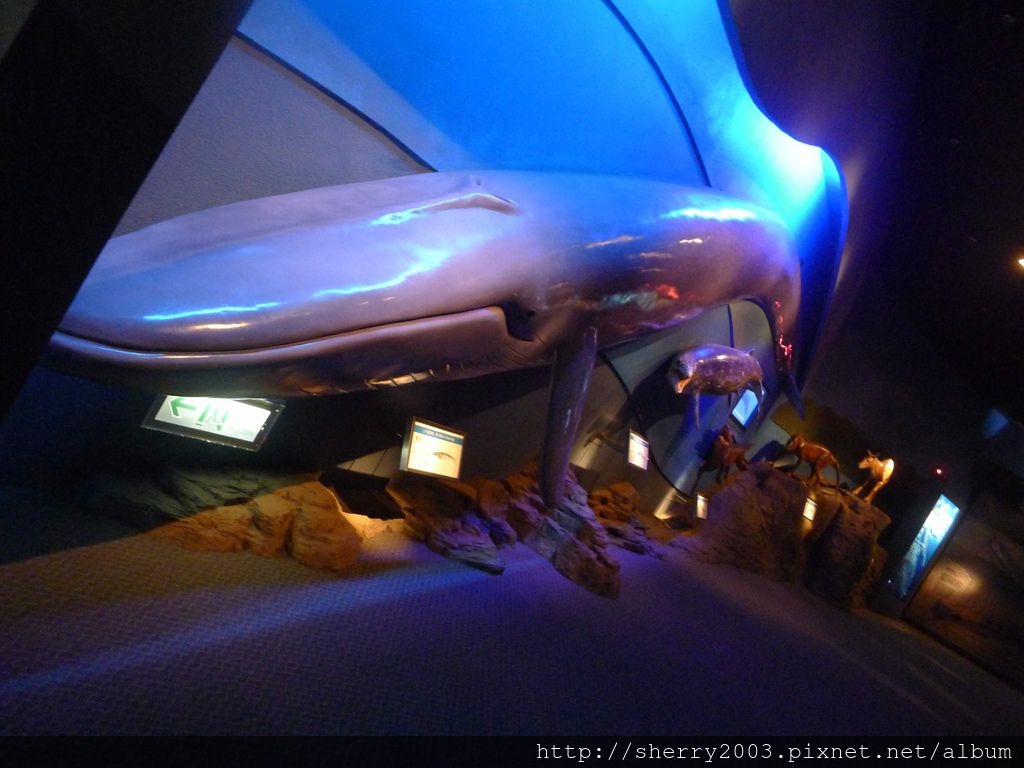 P1060448.JPG P1060448.JPG