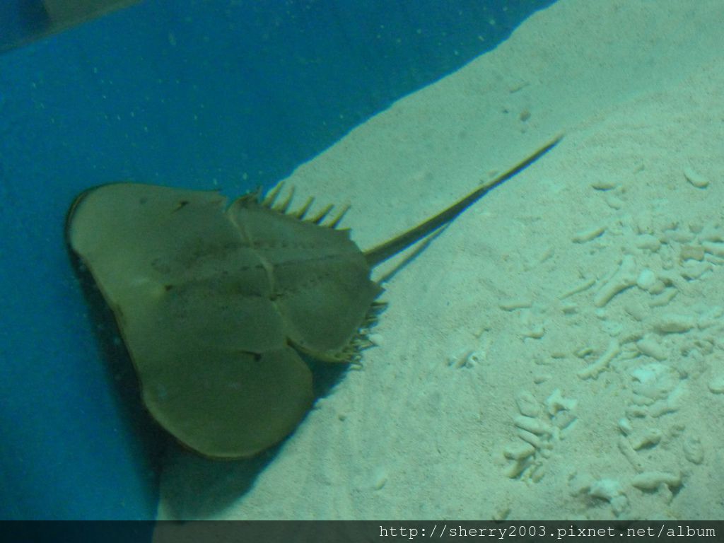 P1060450.JPG P1060450.JPG