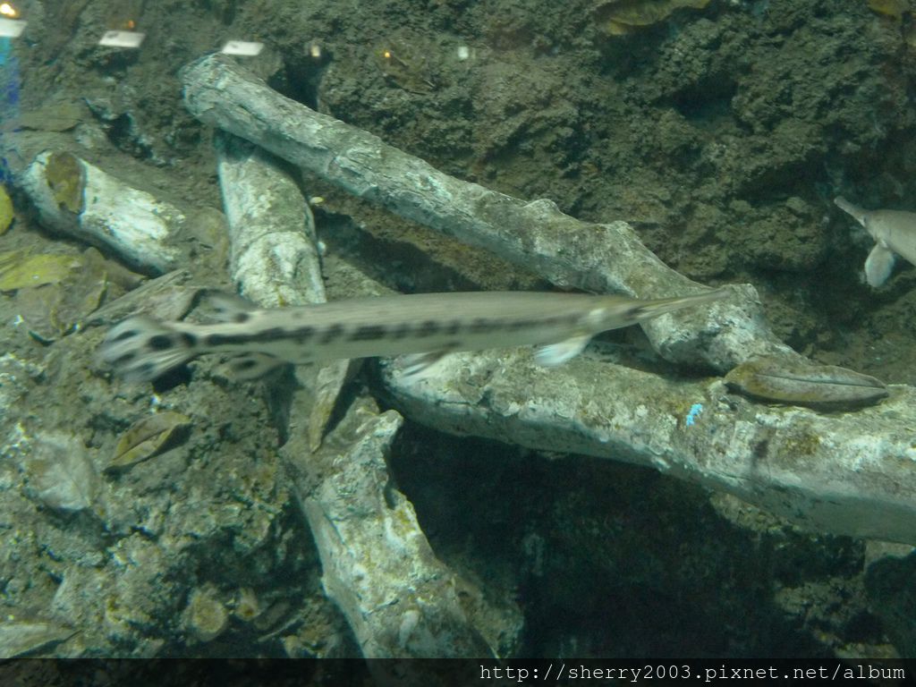 P1060453.JPG P1060453.JPG