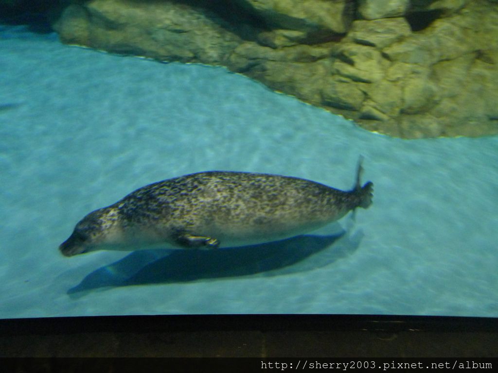 P1060455.JPG P1060455.JPG