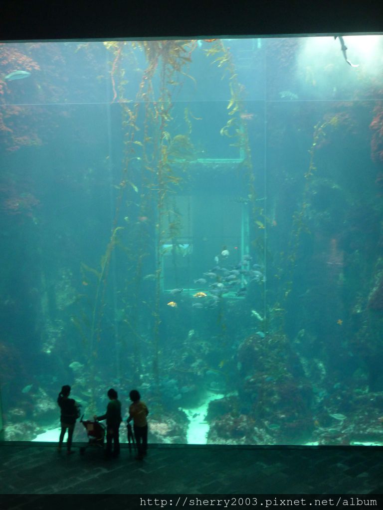 P1060458.JPG P1060458.JPG