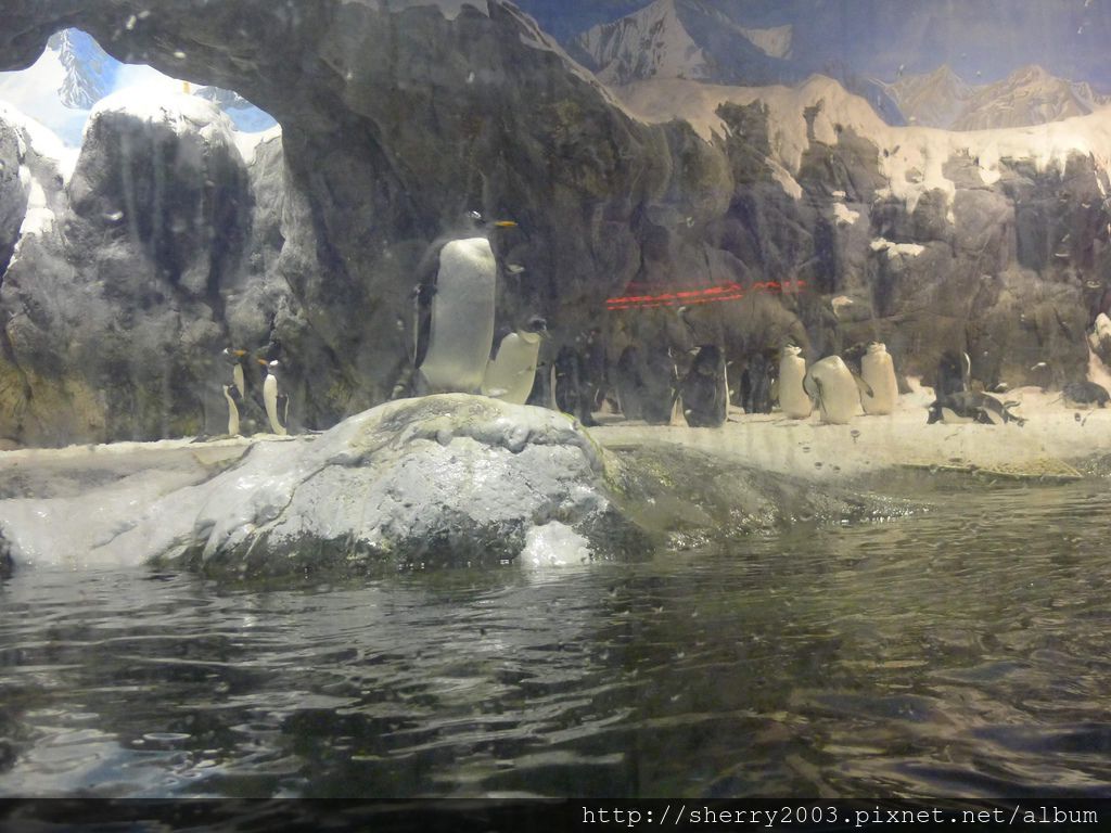 P1060463.JPG P1060463.JPG