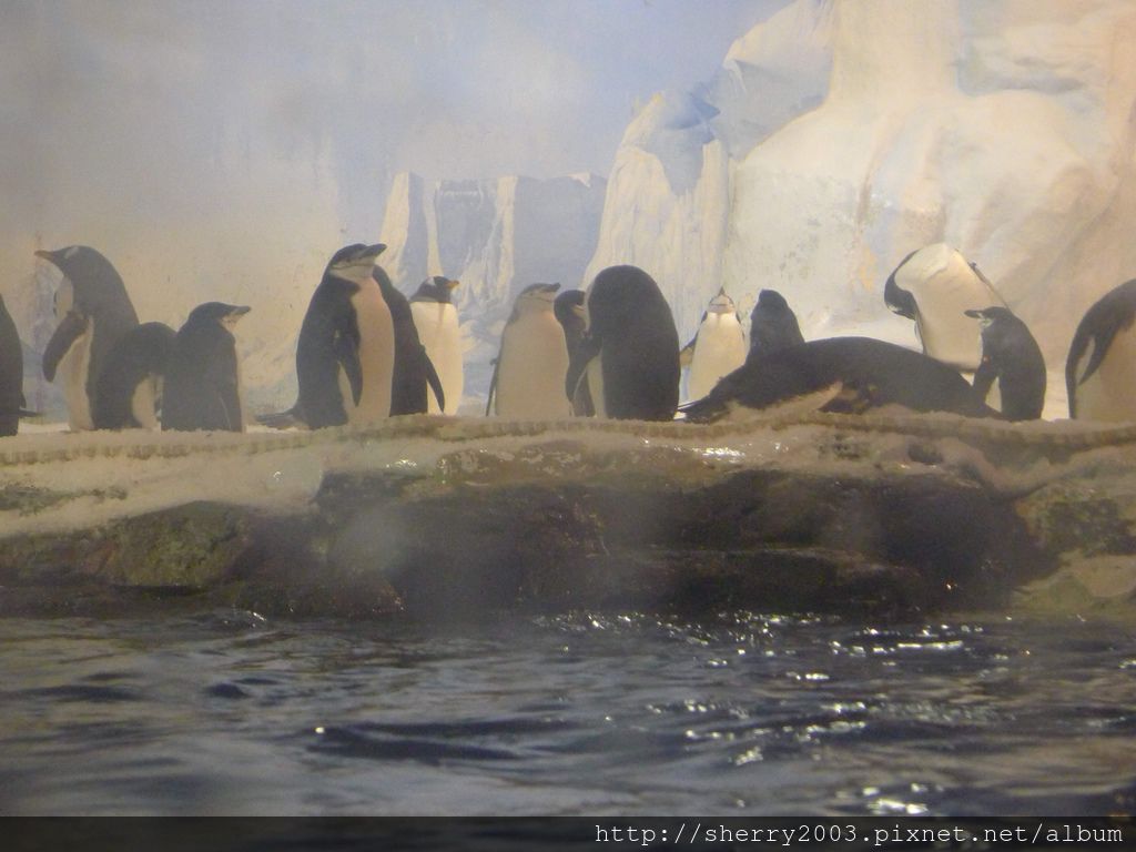 P1060465.JPG P1060465.JPG