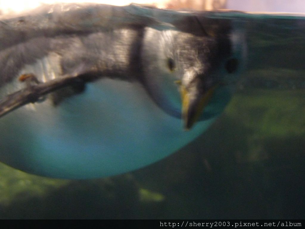 P1060466.JPG P1060466.JPG