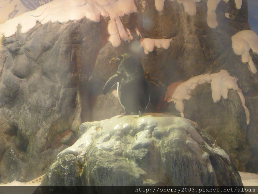 P1060468.JPG P1060468.JPG