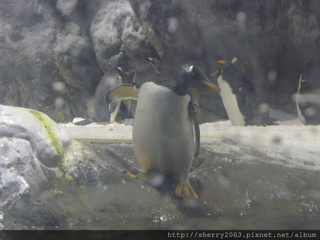 P1060469.JPG P1060469.JPG