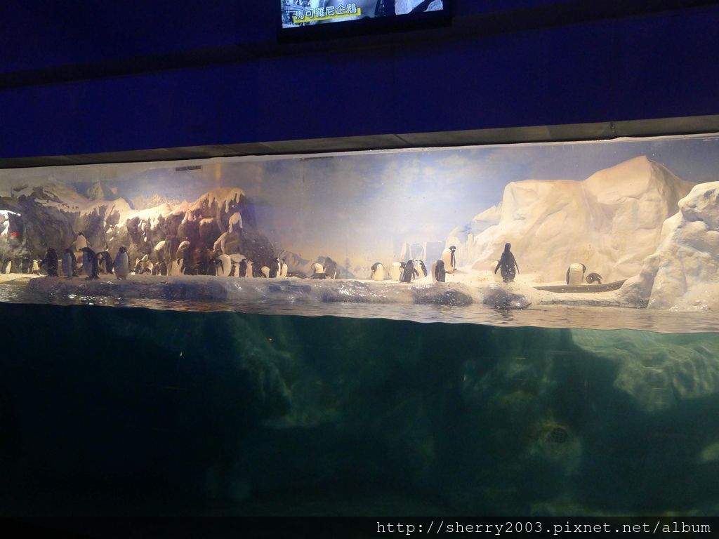 P1060474.JPG P1060474.JPG